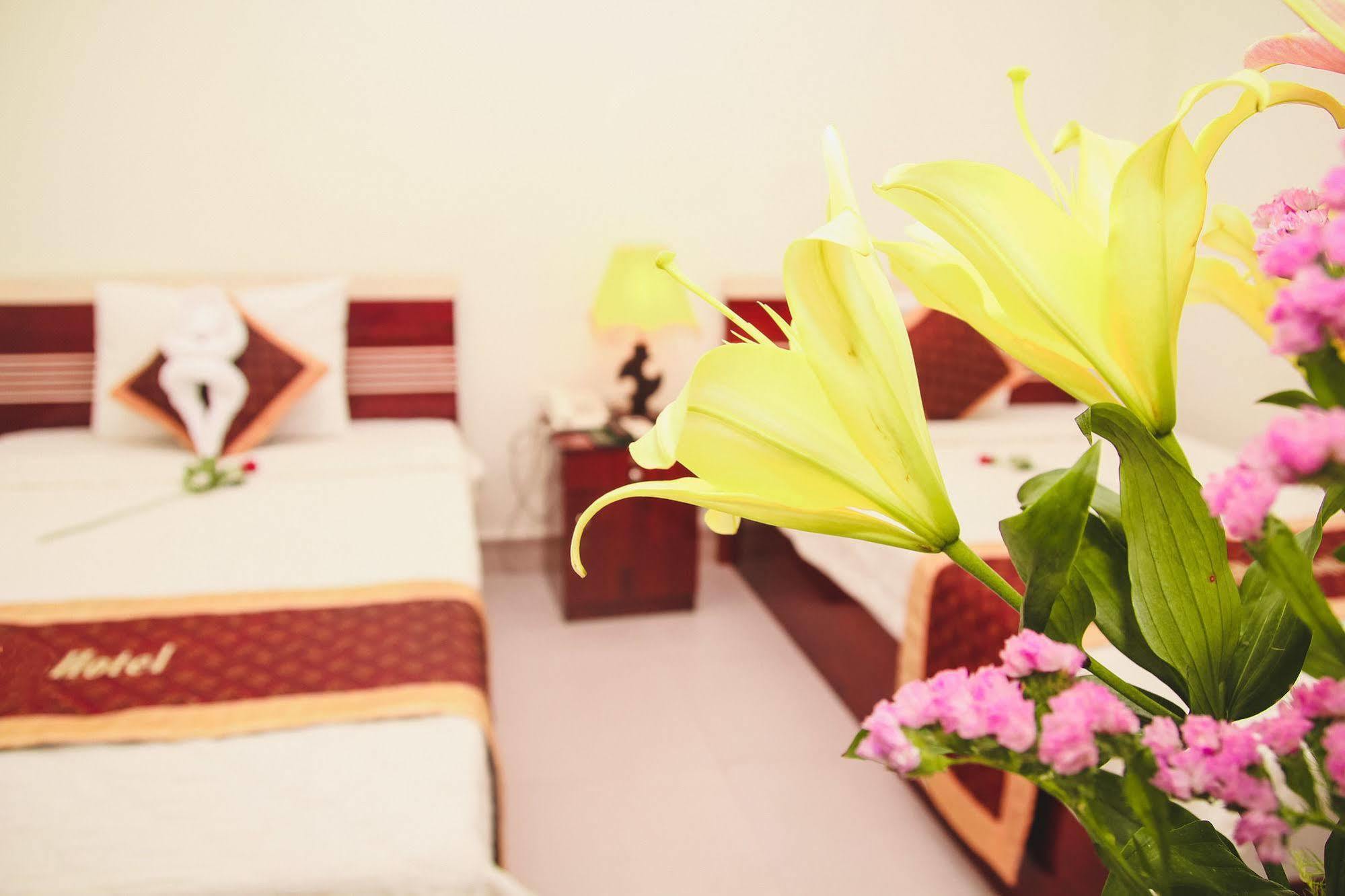 Vivyanne Hotel Đà Nẵng Extérieur photo